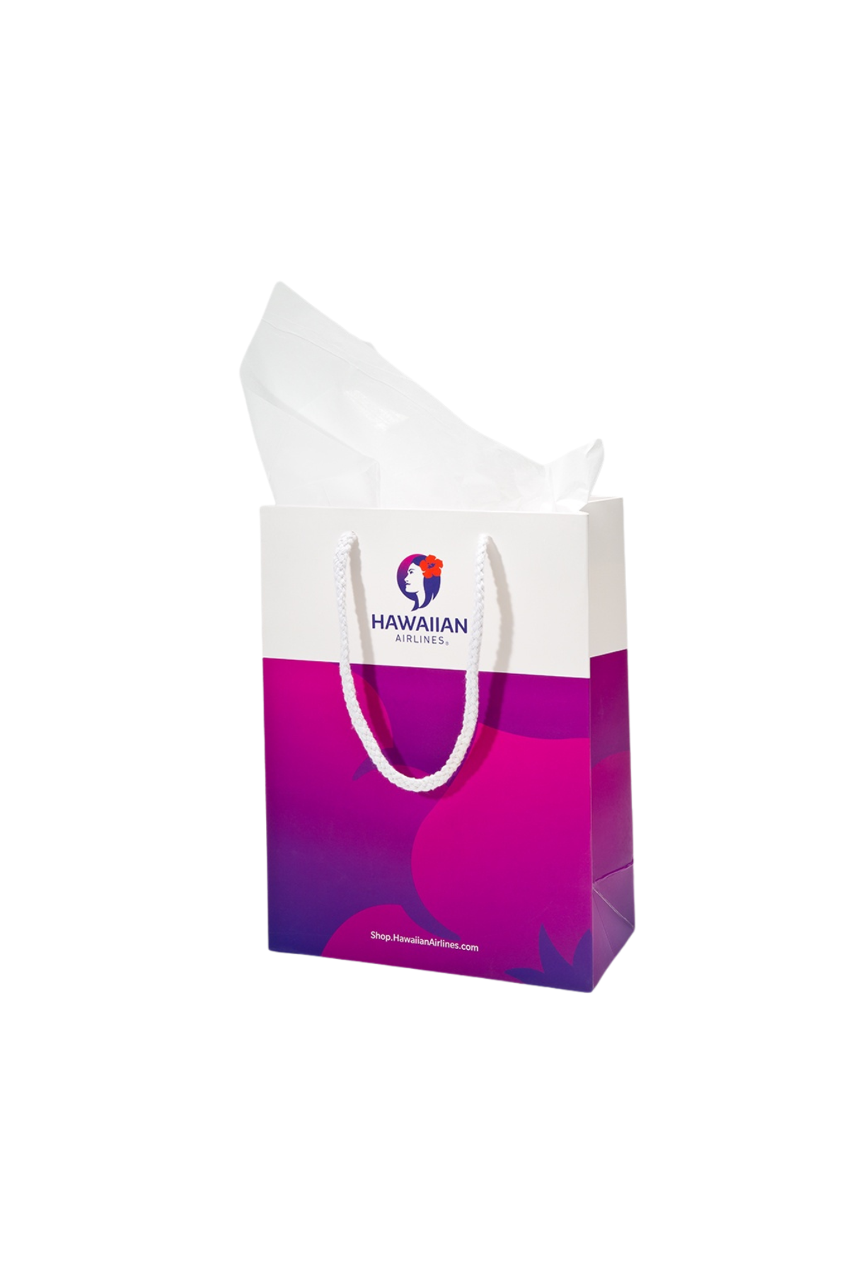 Small Gift Bag